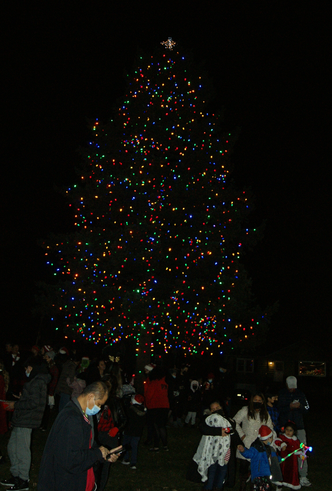 Belleville Christmas Tree Lighting