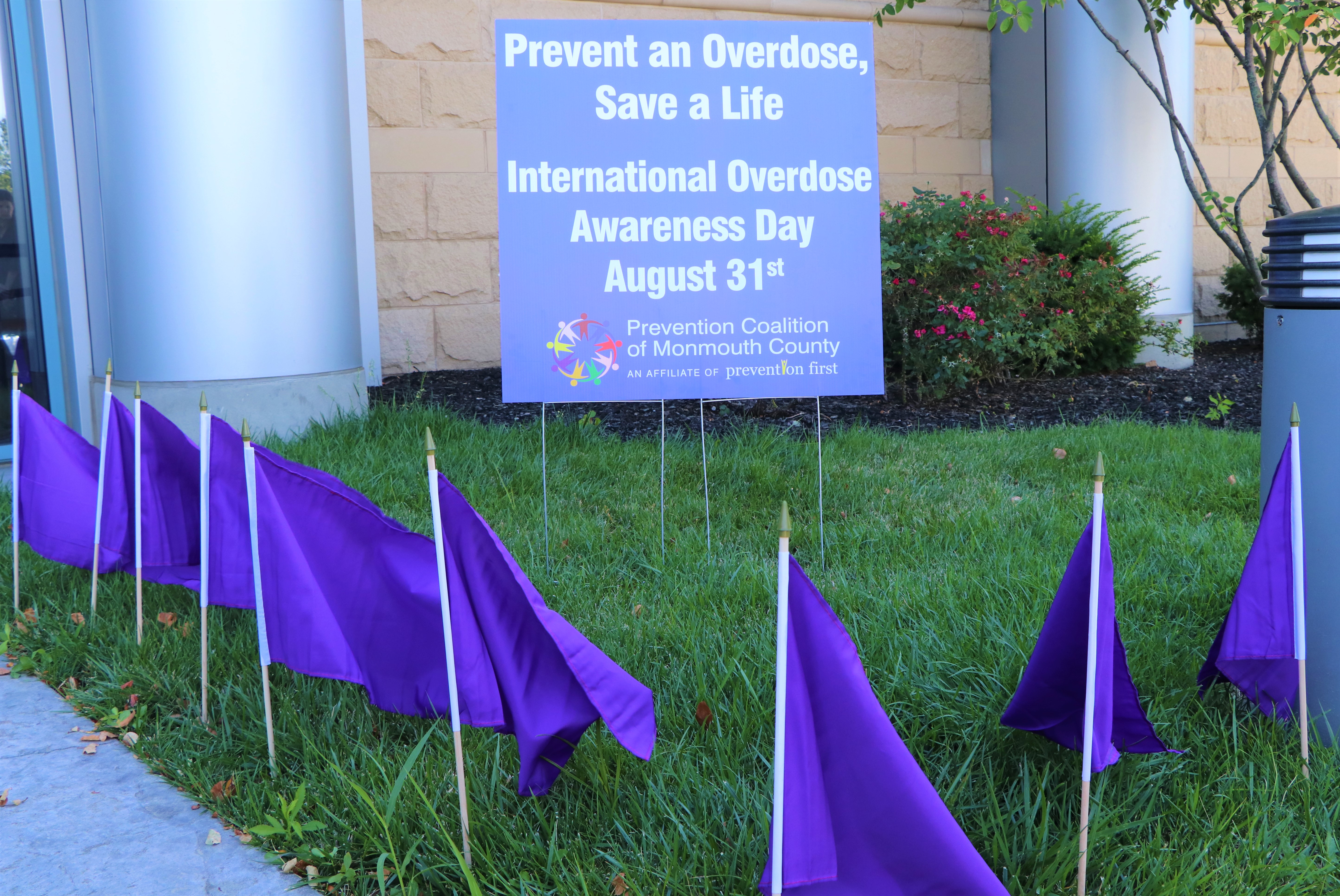 Overdose Awareness Day