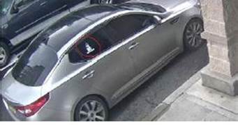 Suspect Vehicle