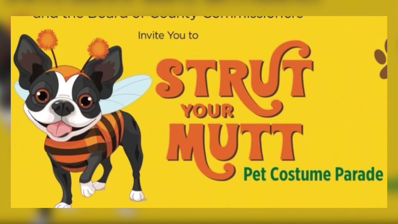 Essex County Announces ‘Strut Your Mutt’ Pet Costume Parade