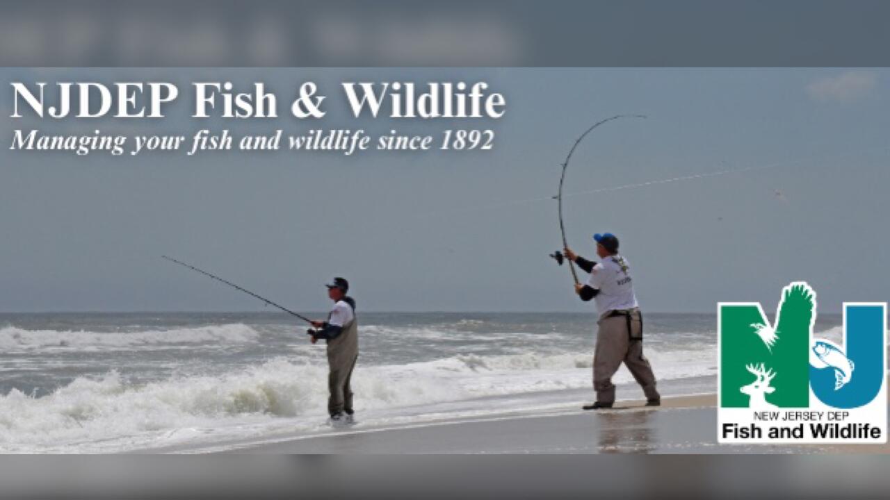 NJDEP, Fish & Wildlife