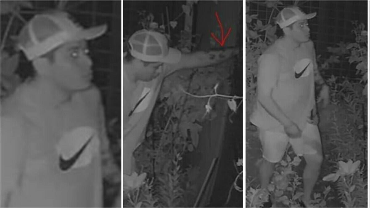 Newark Police Seeks Help Identifying Aggravated Assault, Robbery Suspect