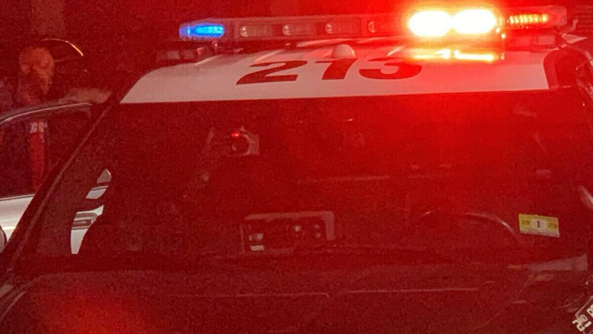 Multiple Suspects Detained in Newark Following Violent Robbery in North ...