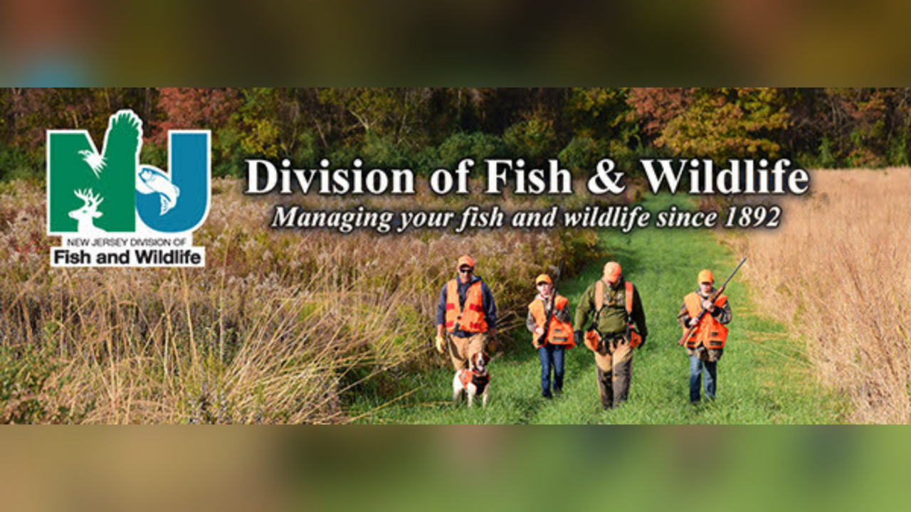Register Early for the NJ Fish and Wildlife Youth Pheasant Hunt