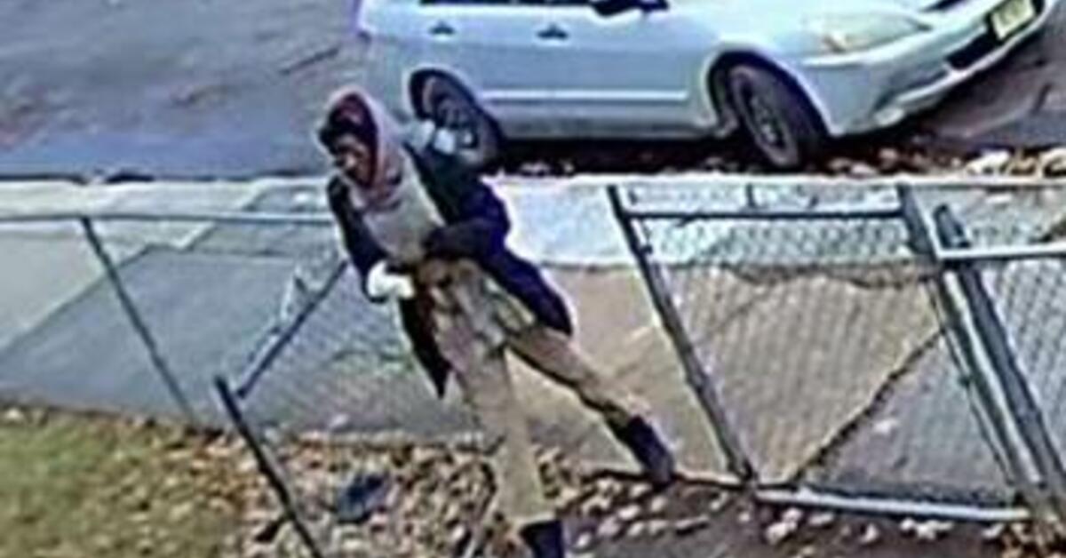VIDEO - Police Seek the Public's Help Identifying Package Theft Suspect ...