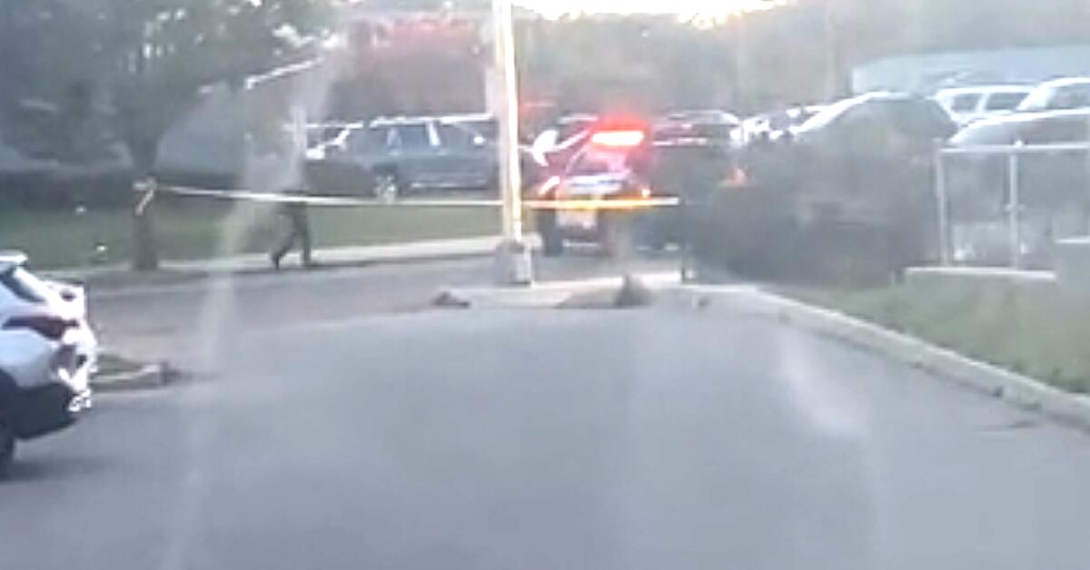 Child Struck by Vehicle in Newark's