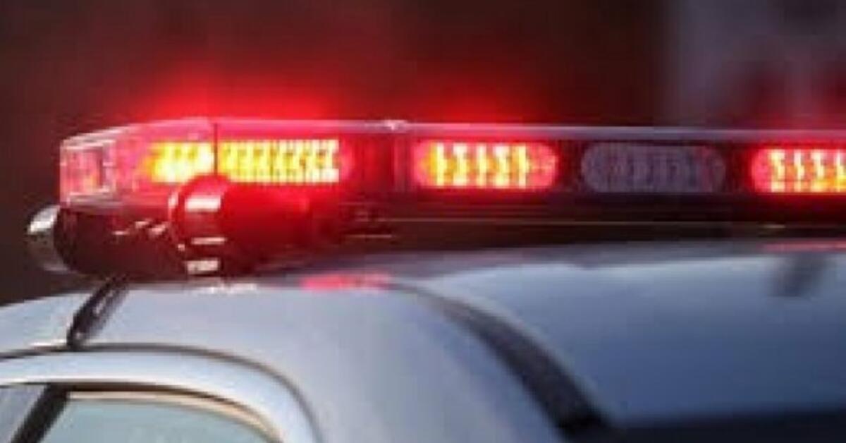HeadOn Crash in Harrington Park Leaves Woman, Girl Critical