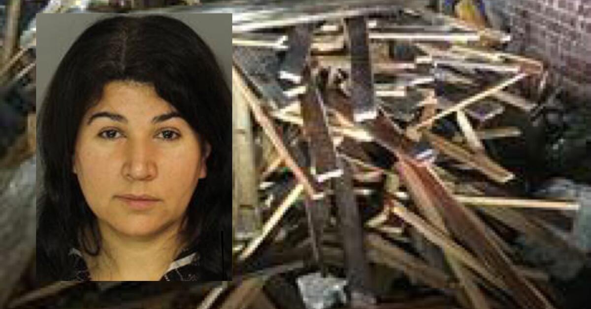Newark Woman Accused of Illegal Dumping After her Alleged Boyfriend Ran ...