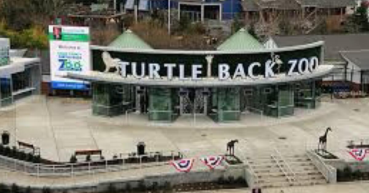 UPDATE Child Bitten by Shark at Turtle Back Zoo in West Orange