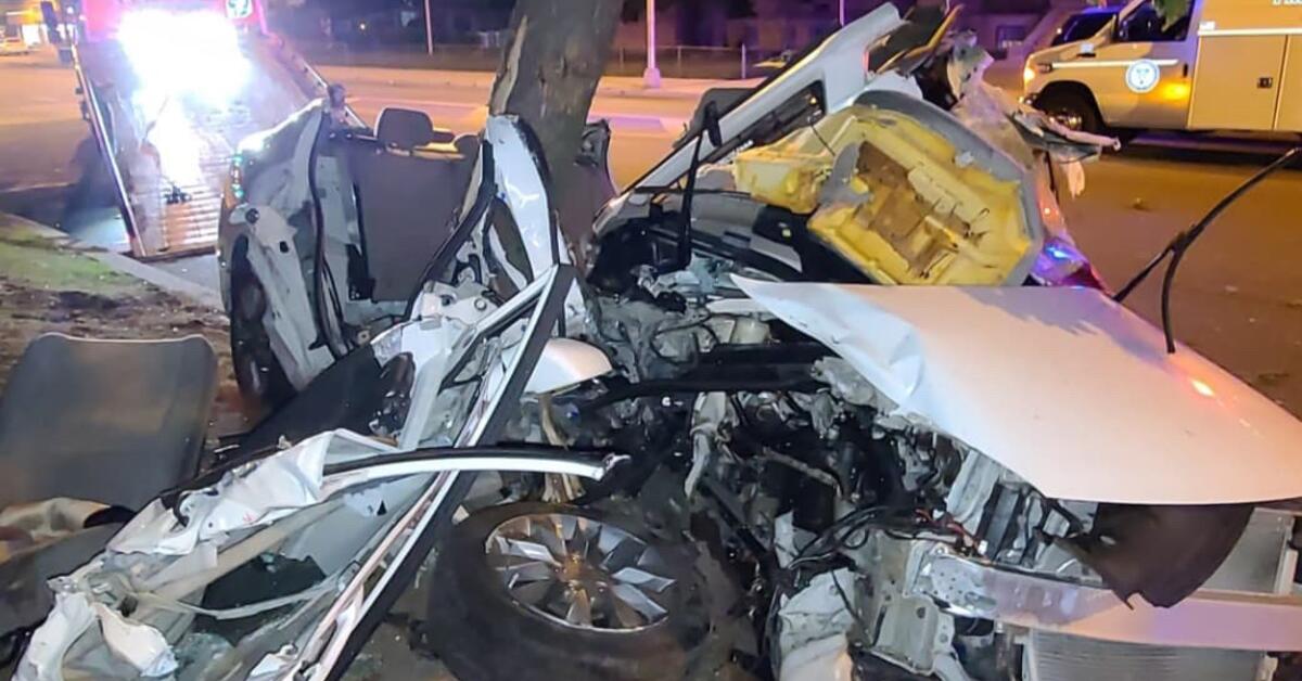 Car Slams into Tree in East Orange