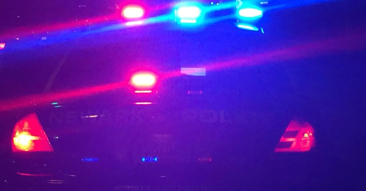 Emotionally Distressed Pregnant Woman Attacks Sergeant At Newark 