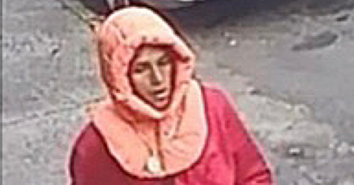 Police Search for Suspect Wanted for Robbing Senior Citizen in Newark’s ...