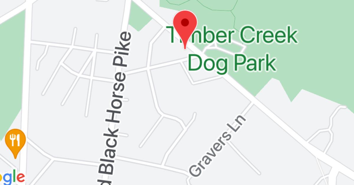 Woman, Two Dogs Rescued from Frozen Timber Creek in Gloucester Township