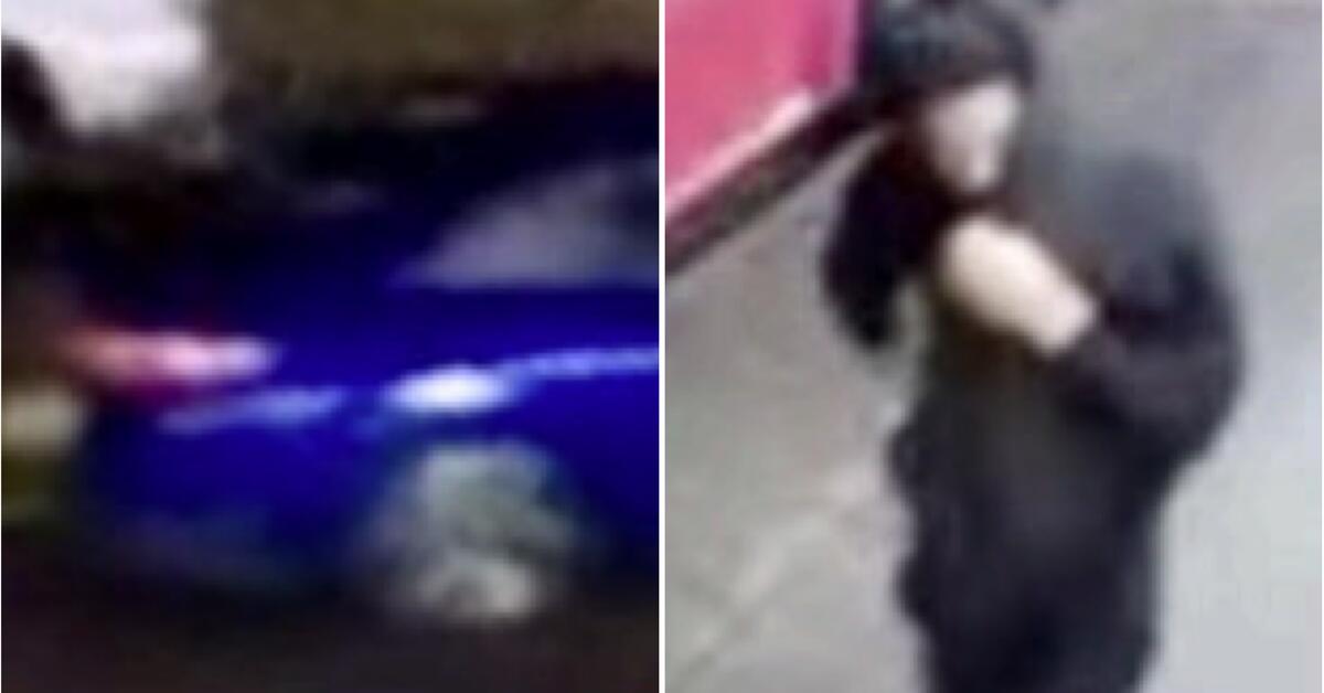 Newark Police Seeks Help Identifying Suspect Who Stole Car with Woman ...