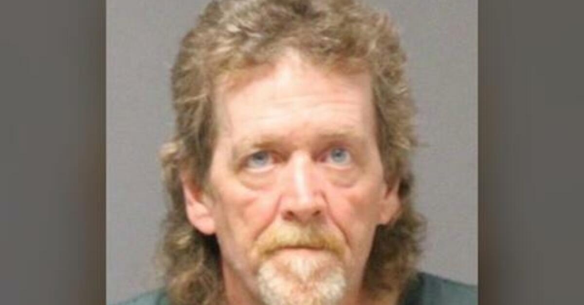 UPDATE: NJ Man Pleads Guilty to Animal Cruelty After Over 150 Cats ...