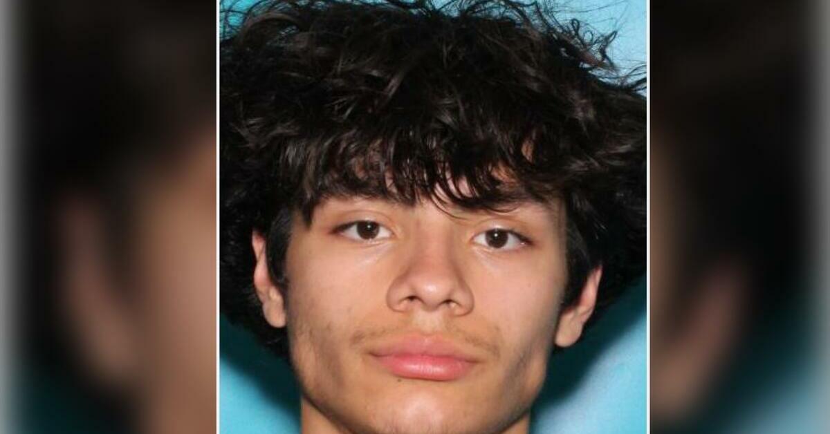 ALERT: Police Search for Suspect in Violent Bloomfield Stabbing That ...
