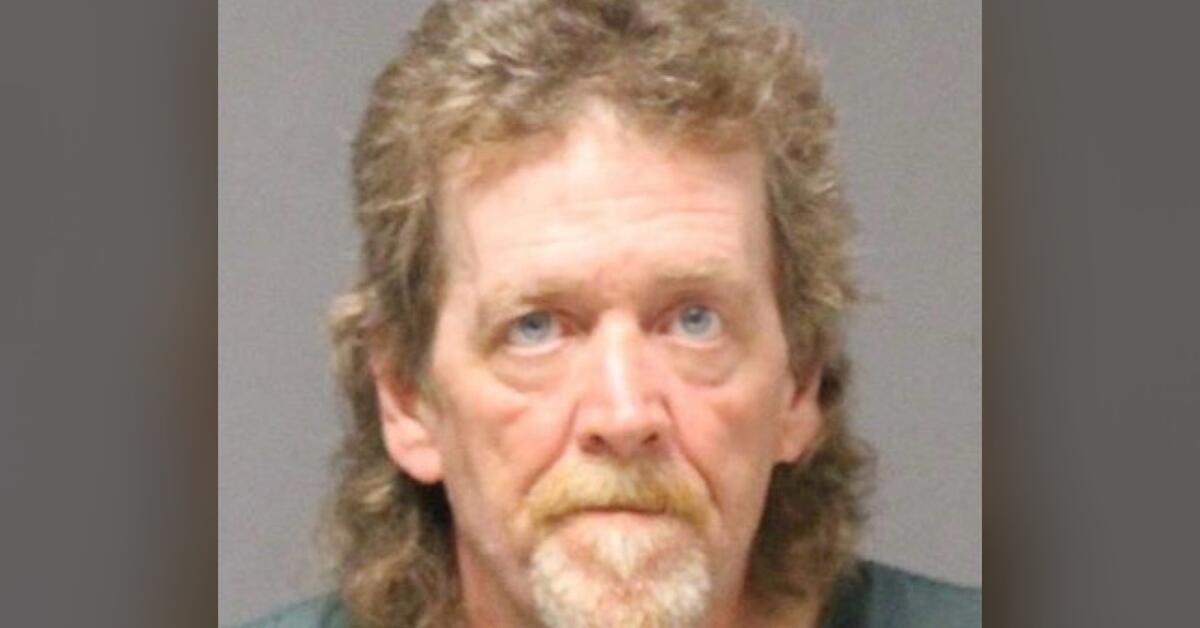 NJ Man Indicted for Animal Cruelty After Over 150 Cats Discovered in ...