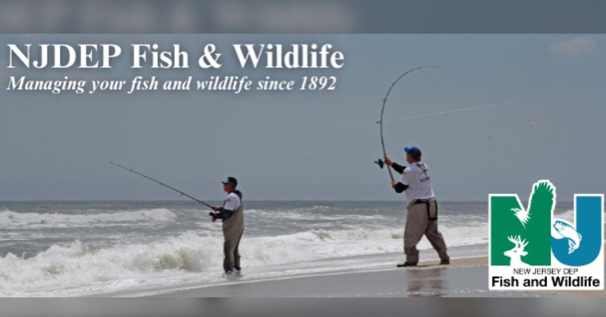NJDEP Division of Fish & Wildlife - Break Out Your Bass Gear