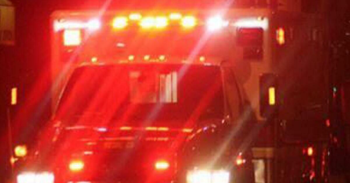 Assault News Image