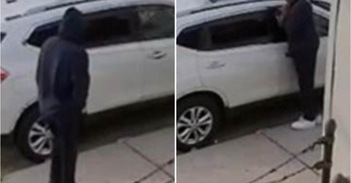 Newark Police Seeks Help Identifying Auto Burglary Suspect