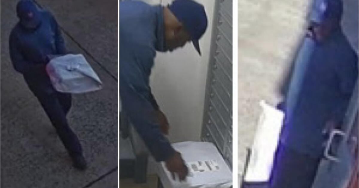 Theft Suspect Wanted for Stealing Package in Newark