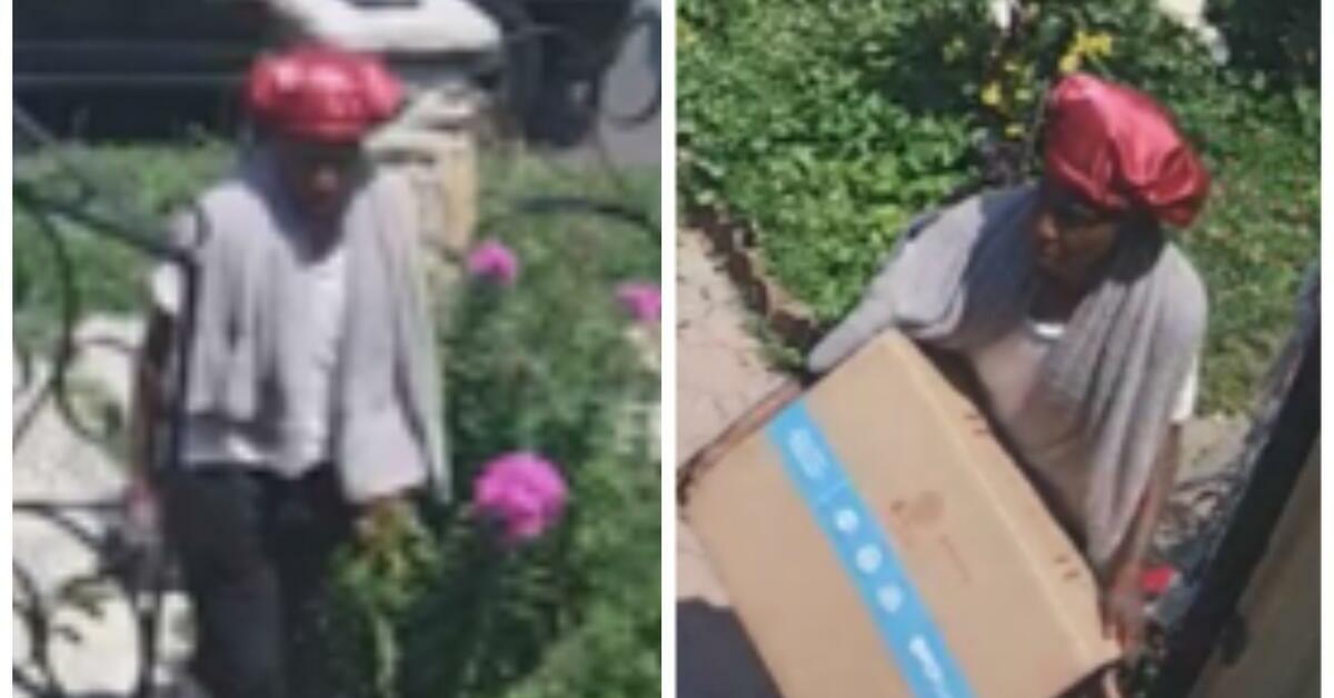 Police Seek Public’s Help Identifying Suspect in Newark Package Theft