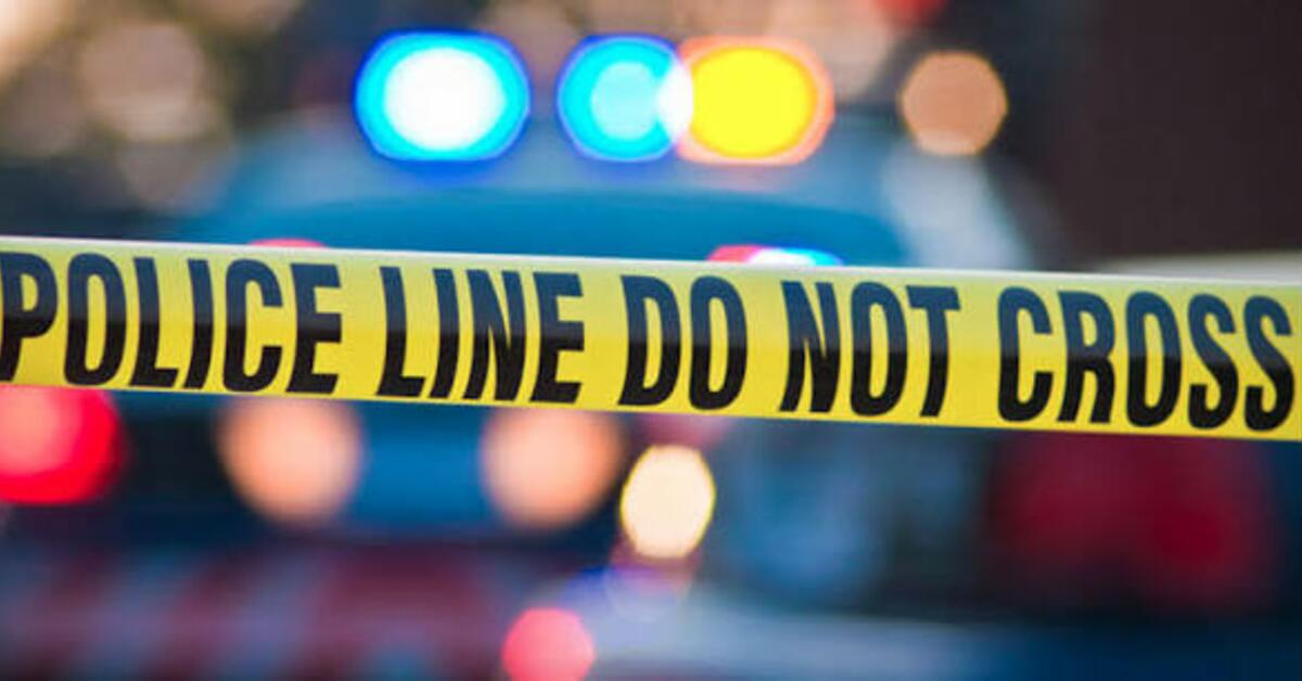 Assault News Image