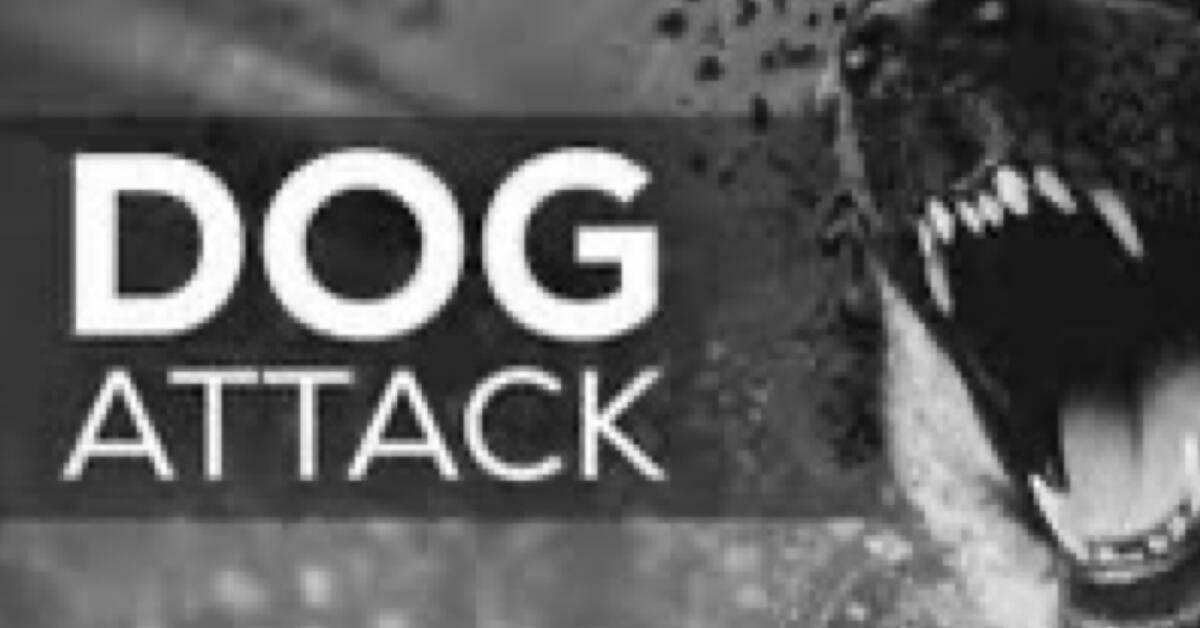 Summit Police Identify Dog Owner After Deadly Attack on Resident’s Pet