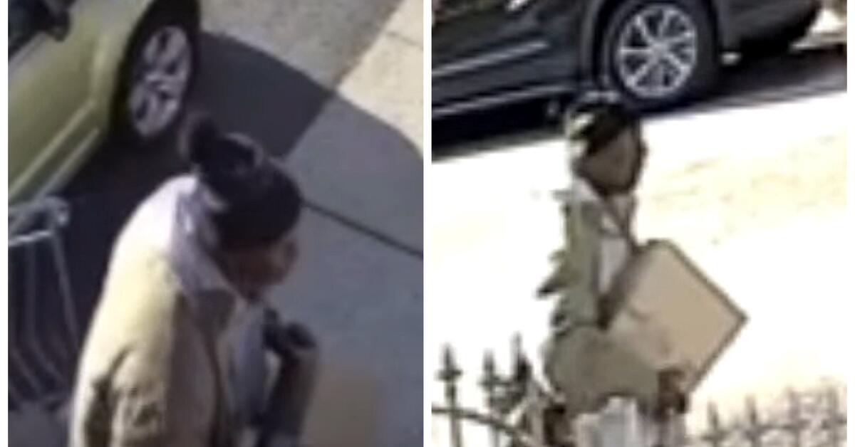 Newark Police Seek Public’s Help Identifying Package Theft Suspect