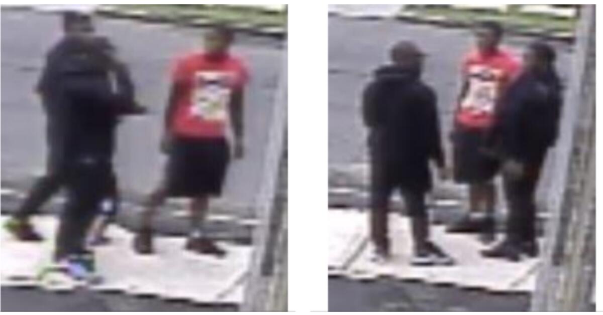 Newark Home Invasion Suspects Sought by Police