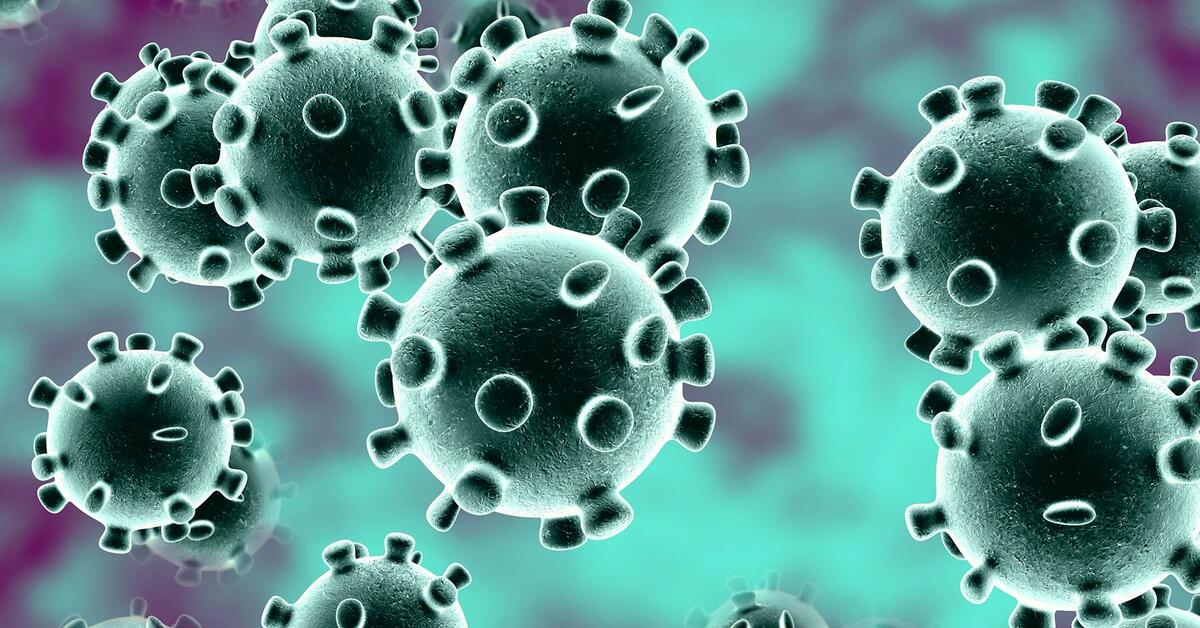 Novel Coronavirus 2019 (2019-nCoV) Novel Coronavirus 2019 (2019-nCoV)