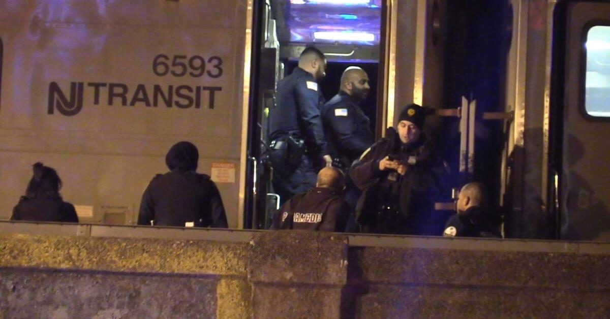 Trespasser Fatally Struck by NJ Transit Train in Paterson