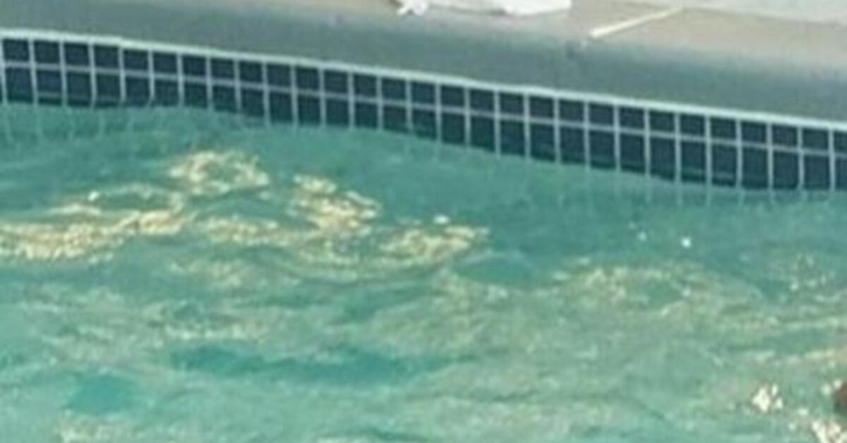 UPDATE: 55 Year Old River Vale Man Drowned in Pool