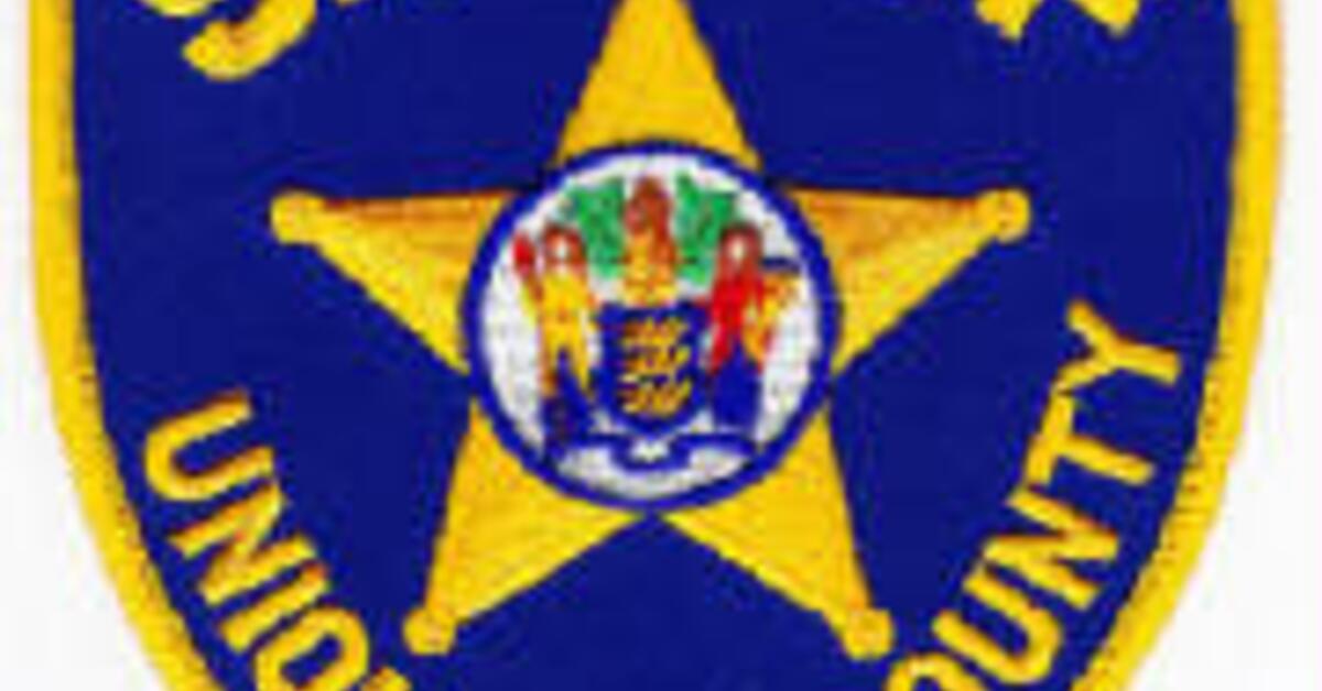 Roselle Man Accused of Ensuing HighSpeed Chase, Arrested