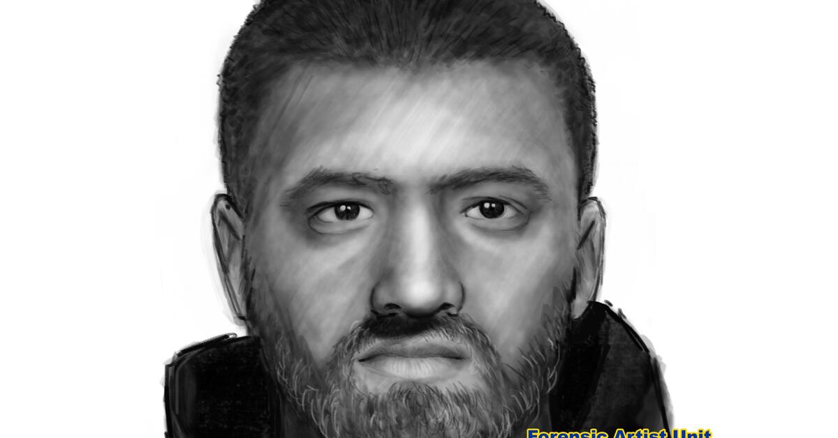 Madison Police Release Sketch of Suspect in Attempted Luring