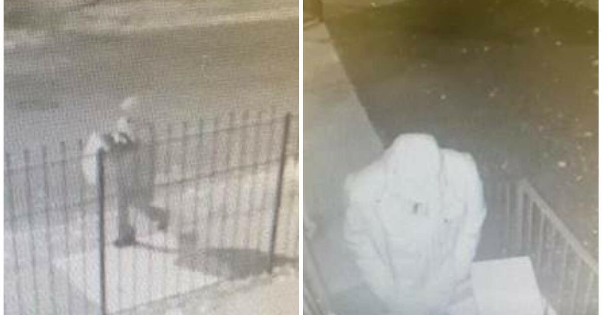 Newark Police Seek the Public's Help in Identifying Package Theft Suspect