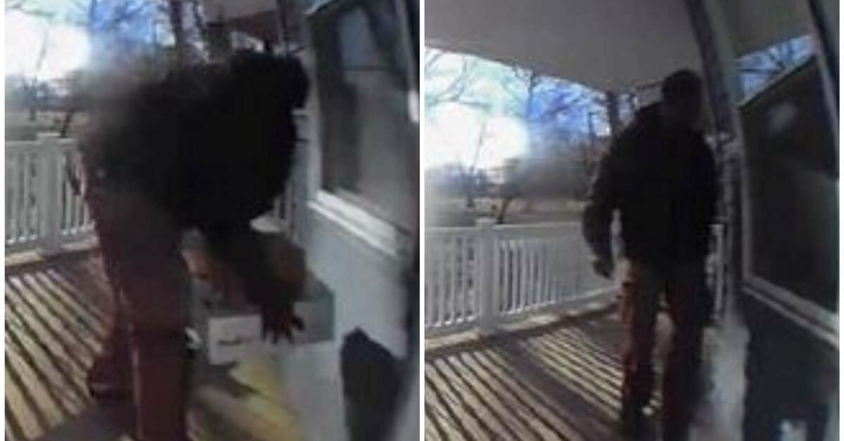 Newark Police Seek the Public's Help in Identifying Package Theft Suspect