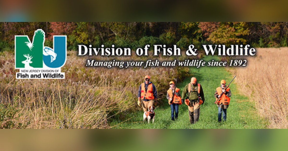 Register Early for the NJ Fish and Wildlife Youth Pheasant Hunt